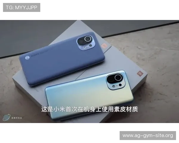 选择优质AG在线充值平台的关键因素与实用建议分享